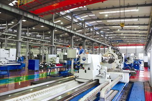 多元發(fā)展促轉(zhuǎn)型